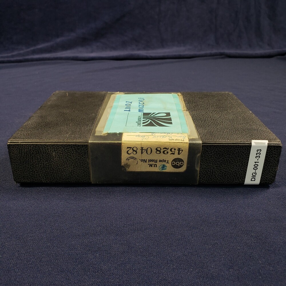 DIG-001-333.jpg