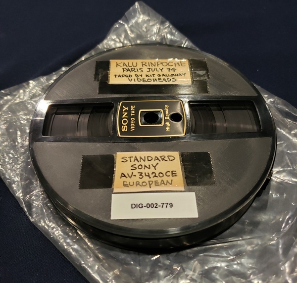 DIG-002-779.jpg